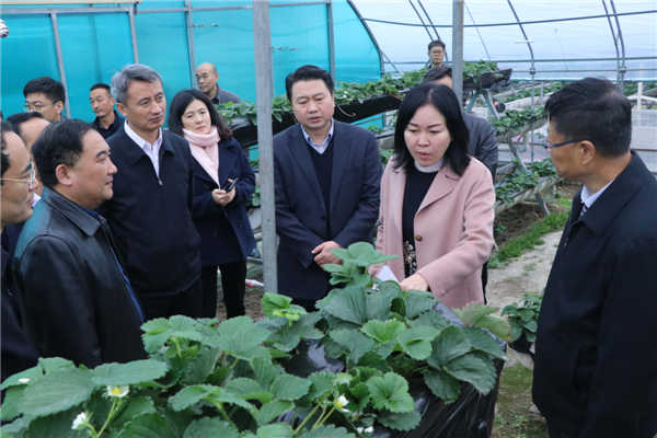 “質(zhì)量興農(nóng)萬里行”陜西站活動花落安康、走進(jìn)漢濱、風(fēng)起陽晨