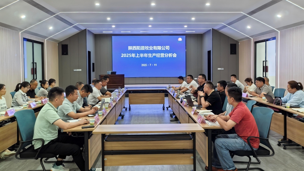 陽(yáng)晨牧業(yè)召開2025年度上半年總結(jié)分析會(huì)